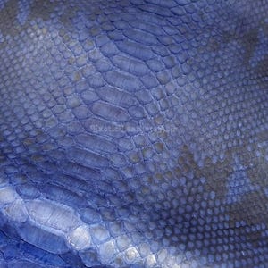 Può includere: Primo piano di pelle di serpente blu con un motivo a scaglie. La pelle ha una superficie strutturata e una sfumatura di tonalità blu, con alcune aree che appaiono più scure di altre. Il testo "Exotic Leathers" è visibile.