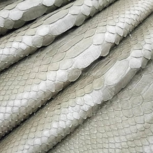 May include: Close-up of pale gray snakeskin leather. The leather has a scaly texture with overlapping scales. The scales vary in size and shape, creating a natural pattern. The leather is folded, showing the texture and flexibility of the material.