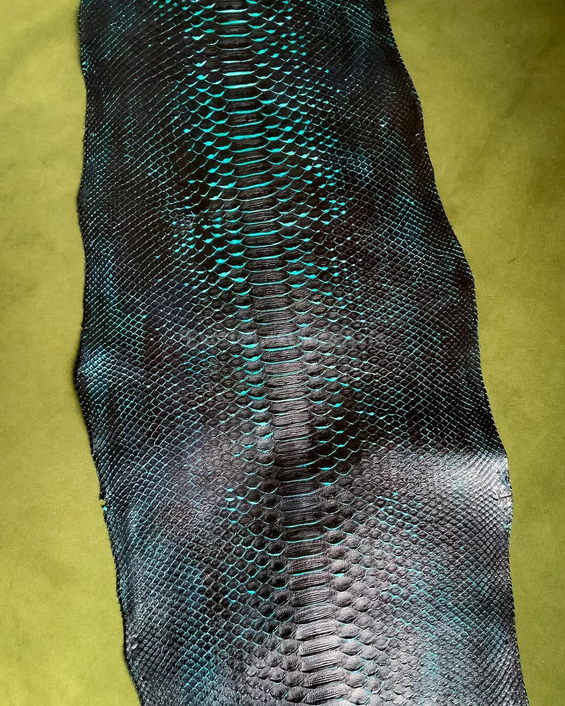 Genuine Borneo Python Leather Skin | Cyan Underglow Unbleached Belly ...
