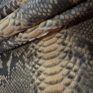 May include: Close-up of a textured snakeskin pattern. The scales are a mix of tan, brown, and dark gray, creating a natural, organic look. The image shows the intricate details of the reptile's skin, with a focus on the texture and color variations.