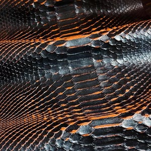 Peut inclure: Gros plan sur du cuir de peau de serpent noir et orange. Le cuir présente un motif écailleux texturé avec des écailles noires foncées et des accents orange-brun. Les écailles sont serrées et créent une surface texturée unique.
