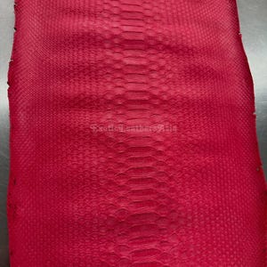 Op de afbeelding: Een vel levendig rood slangenleer. Het leer vertoont een gedetailleerd, getextureerd patroon van schubben, met een prominente centrale ruggengraat. Het oppervlak is glad en reflecteert licht, wat de rijke kleur en het natuurlijke ontwerp benadrukt. De tekst "Exotic Leathers 9 Asia" is zichtbaar.