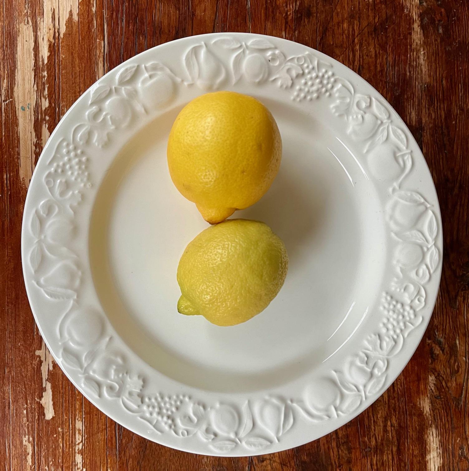 Lot De 2 Plats Creux En Faïence – Décor Relief Pied De Fraises – Occasion