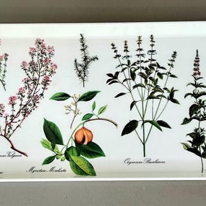 Vintage Mebel Italy serving tray “Botanica Herbs” from the 1980s