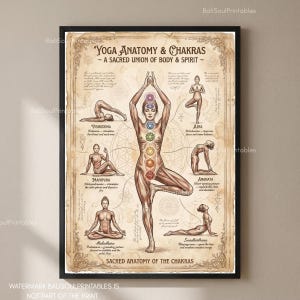Peut inclure: Une affiche verticale intitulée Yoga Anatomy & Chakras présentant une figure centrale en posture de l'arbre avec sept symboles de chakra colorés le long de la colonne vertébrale. Autour, six illustrations de postures de yoga avec des textes explicatifs sur un fond parchemin beige.