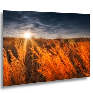 May include: A landscape print featuring a field of tall, golden grasses illuminated by the setting sun. The sky transitions from a deep blue to a lighter hue, with the sun's rays creating a warm glow. The artwork is mounted on a black frame.