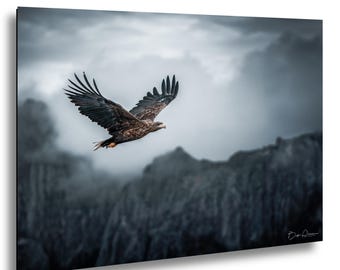 Sea Eagle In Flight Photo • Norway Wildlife Photography • Bird Of Prey Wall Art • Nordic Eagle Print • Nature Photography Print
