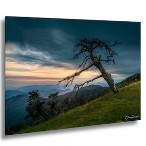 May include: A scenic landscape photograph featuring a solitary, weathered tree on a grassy hillside. The sky transitions from a deep blue to warm orange hues, with layers of mountains in the background.