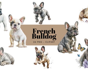 May include: Watercolor illustrations of French Bulldogs in various poses. The image includes several dogs in different colors, including white, gray, and tan. The text "French Bulldog 26 PNG - CLIPART" is displayed on a brown banner.