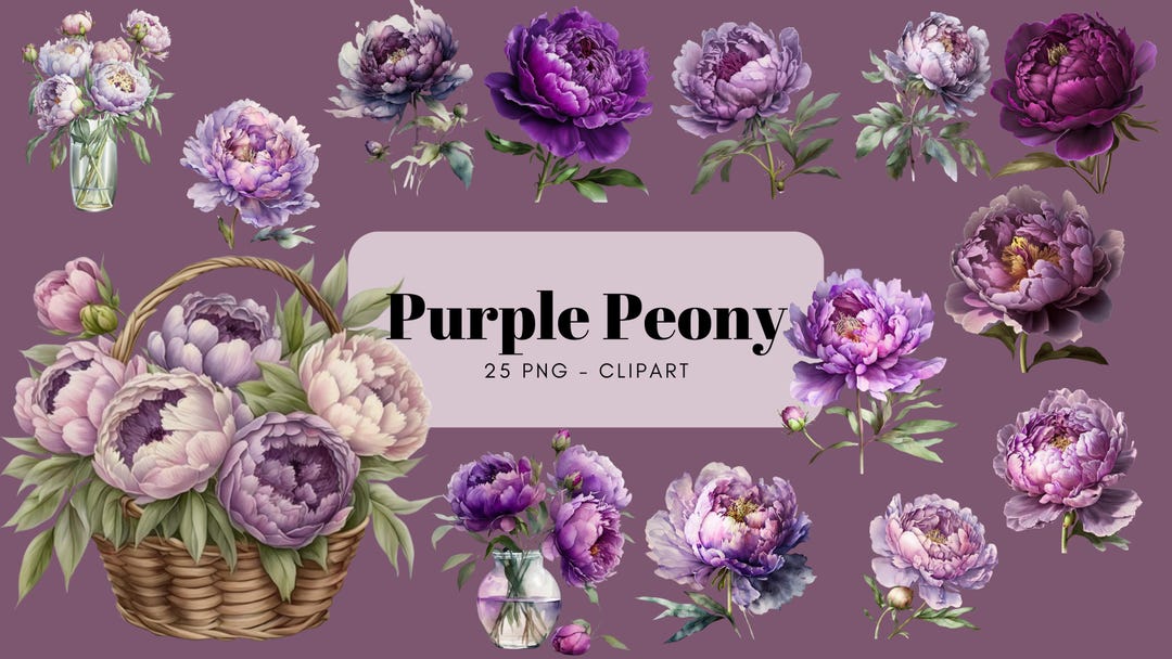 Watercolor Purple Peony Clipart, Flower Arrangement - Etsy
