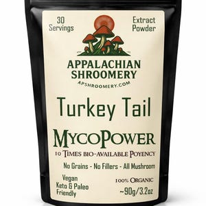 100% Organic Turkey Tail Extract Powder for Ummune Support