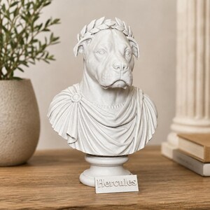 Puede incluir: Un busto de color gris claro con efecto de piedra que representa a un perro con una corona de laurel y una toga drapeada. La escultura est&aacute; montada sobre una base con una peque&ntilde;a placa rectangular al frente con el texto "Hercules".