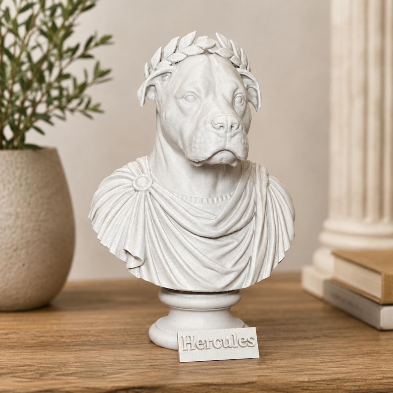 Puede incluir: Un busto de color gris claro con efecto de piedra que representa a un perro con una corona de laurel y una toga drapeada. La escultura est&aacute; montada sobre una base con una peque&ntilde;a placa rectangular al frente con el texto "Hercules".