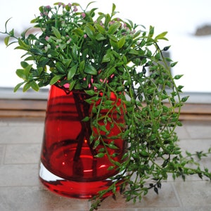 Teleflora Round Tapered Red with Clear Base Glass Vase