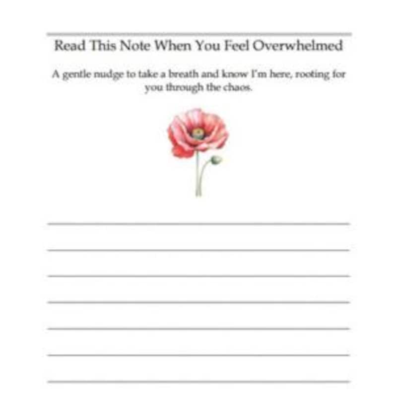 Puede incluir: Una hoja de papel blanca con el texto Read This Note When You Feel Overwhelmed seguido de A gentle nudge to take a breath and know I'm here, rooting for you through the chaos. Una ilustraci&oacute;n de una amapola rosa sobre ocho l&iacute;neas.