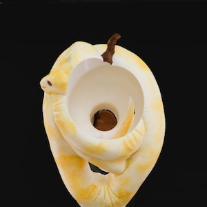 May include: A decorative sculpture of a coiled snake in shades of yellow and white, with a brown stem-like element at the top. The snake's body forms a circular shape with a central opening, creating a unique and artistic design.