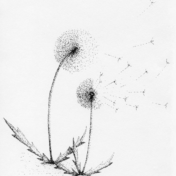 Dandelion Duo Card - Part of the "Dandelion Series"