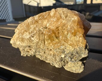 Calcite Crystal Clam Shell Fossil 2.61” | Rucks Pit Florida Fossil | Yellow Calcite Mineral Specimen | Rare Collectible Crystal