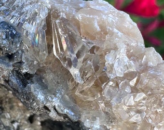 Calcite Crystal Clam Shell Fossil | Fort Drum Florida Fossil 2.55” | Rare Collectible Crystal | UV Reactive | Fluorescence & Phosphorescence