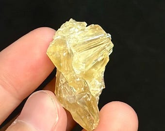 Calcite Crystal Clam Shell Fossil 1.34” | Fort Drum Florida Fossil | Rare Collectible Crystal | UV Reactive | Fluorescence & Phosphorescence