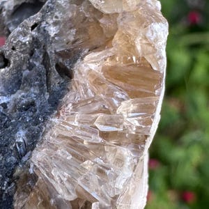 May include: A raw mineral specimen featuring a cluster of translucent, amber-coloured quartz crystals growing from a dark, textured, rocky matrix. The crystalline structure displays sharp, multifaceted points and edges with varying degrees of clarity.