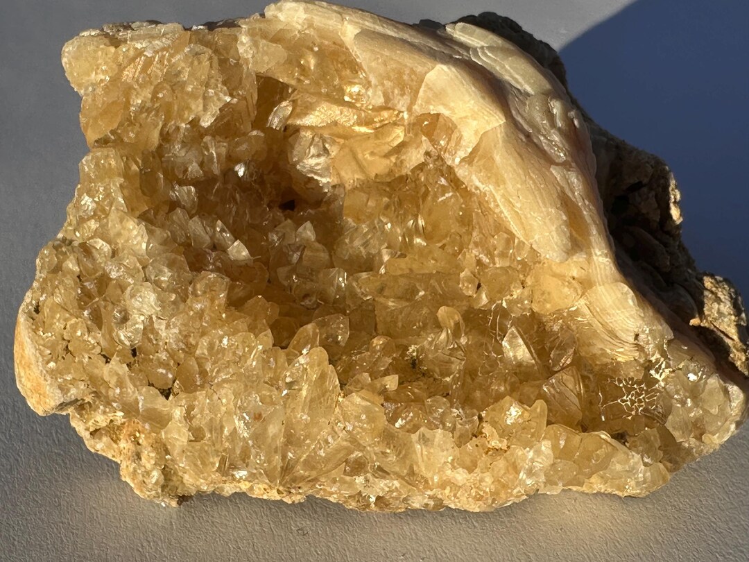 Calcite Crystal Clam Shell Fossil | Rucks Pit Florida Fossil | Yellow ...