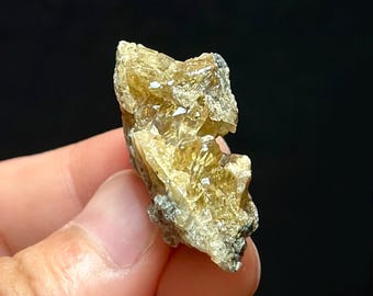 Calcite Crystal Clam Shell Fossil 1.27” | Fort Drum Florida Fossil | Rare Collectible Crystal | UV Reactive | Fluorescence & Phosphorescence