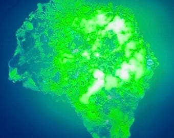 Lime Lightning Opal – Fluorescent Opal Specimen from Nevada | UV Reactive Mineral Display Piece