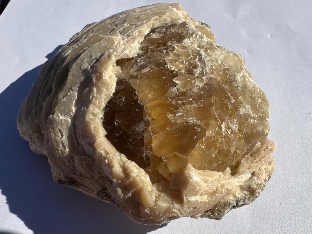 Calcite Crystal Clam Shell Fossil | Rucks Pit Florida Fossil | Yellow ...