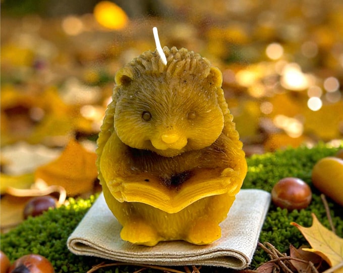 Beeswax Hedgehog Reading a Book Candle – Handmade, Natural, Decorative Candle for Home