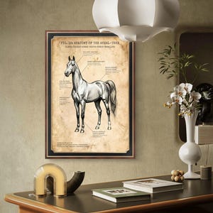 Akhal Teke Horse Anatomy Print, Vintage Golden Horse Wall Art (Digital Download)
