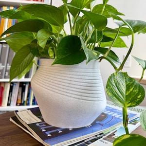 May include: A lush green pothos plant in a speckled gray ceramic pot with horizontal ridged detailing. The plant sits atop a stack of magazines, with a bookshelf visible in the background. The leaves are a vibrant green with yellow variegation.