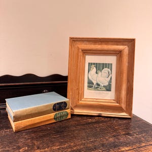 May include: A framed print of two roosters in a wooden frame, resting on a dark wooden surface. Two vintage books with blue and tan covers are stacked to the left of the frame. The print features a detailed illustration of the birds.