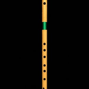 May include: A wooden flute with a natural finish, featuring green accents at the ends and center. The flute has several finger holes and is set against a black background. This musical instrument is designed for playing melodies.