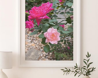 Pink Roses Photography Print | Floral Wall Art | Botanical Photo Download | Instant Digital Print