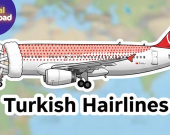 Turkish Airlines, Hair Loss, Boarding, Comic Ornament, Travel Gift