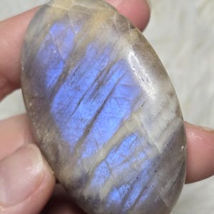 以下が含まれることがあります： 青い光沢のある楕円形のムーンストーンの宝石。磨かれた石は、ベージュ、グレー、青色の混合色を示しています。宝石は、柔らかい白い背景に対して指の間に保持されています。