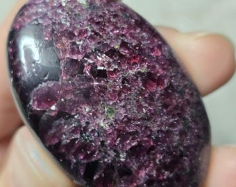 Garnet Palm - Flat Shape with Gemmy Red Purple Color