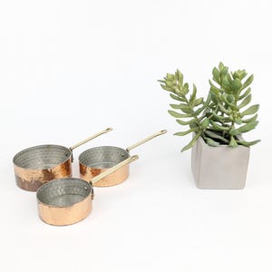 May include: Three copper saucepans with brass handles are arranged on a white surface. The pans have a hammered texture and varying sizes. A small succulent plant in a square concrete pot is to the right of the pans.