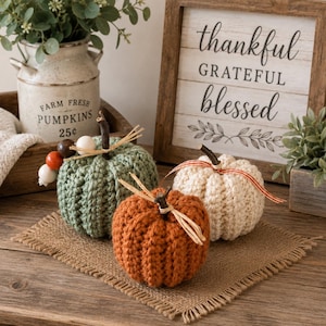 May include: Three crocheted pumpkins in sage green, burnt orange, and cream colors. Each pumpkin features a dark brown twig stem and raffia accents. The green pumpkin includes a strand of wooden beads in white, orange, and dark brown colors.