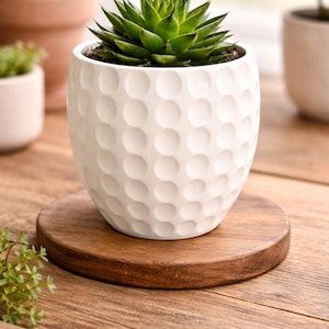 May include: A white ceramic planter with a dimpled pattern, holding a green succulent plant. The planter sits on a round, dark wooden coaster. Other potted plants are visible in the background, suggesting a home decor theme.