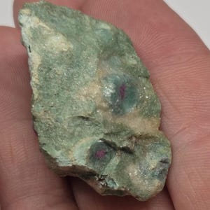 May include: A rough, irregularly shaped rock fragment with a mottled green and off-white surface. Embedded within the rock are several small, circular formations with a deep red center, possibly gemstones. The rock is held in a hand.