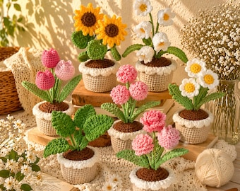 Pacchetto di modelli PDF per vaso di fiori all'uncinetto, modello di pianta amigurumi, graziosa decorazione da scrivania, regalo fatto a mano, download immediato