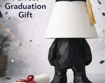 Graduation Gift Lamp – Unique Desk Lamp for Any Graduate – Elementary, Middle School, High School or College Grad Gift – Dorm Room Lamp