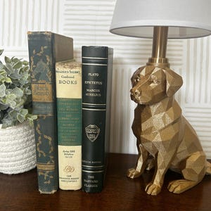 Labrador Lamp, Dog Lover Gift, Modern Dog Table Lamp, Labrador Decor, Unique Gift for Pet Owners, Black Lab Gift, Pet Memorial Gift Gold