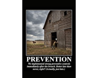 PREVENTION Cybersecurity Demotivational Poster | Incident Response Humor | Breach Recovery | Security Controls | CISO Gift