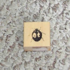 Tampon en caoutchouc sur bois coccinelle
