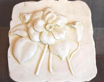 Hen Feathers Carved Magnolia Jewelry Trinket Box