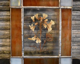 Stained Pressed Glass Art Dried Flower Wall Decor