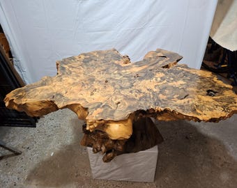 Couchtisch aus Buckeye-Maserholz